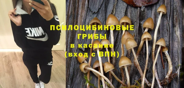 PSILOCYBIN Богородицк